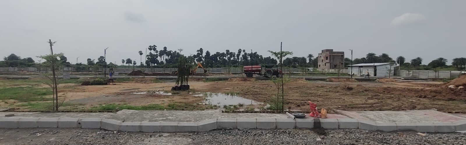 urbantree-crystal-crown-1