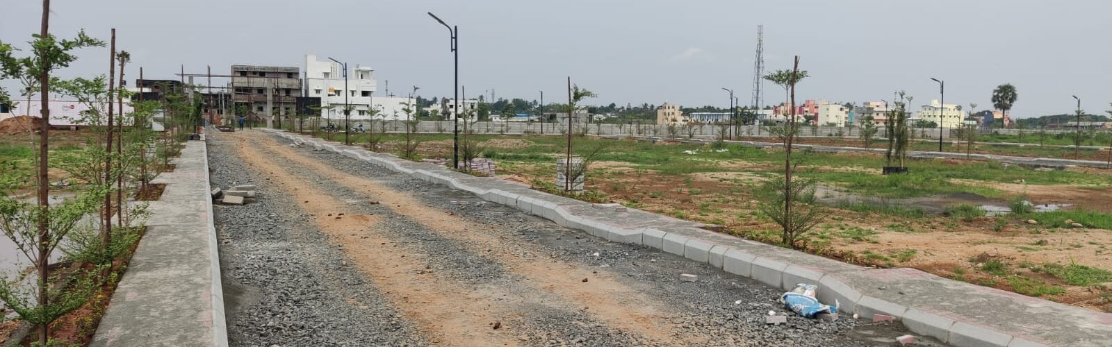 urbantree-crystal-crown-12