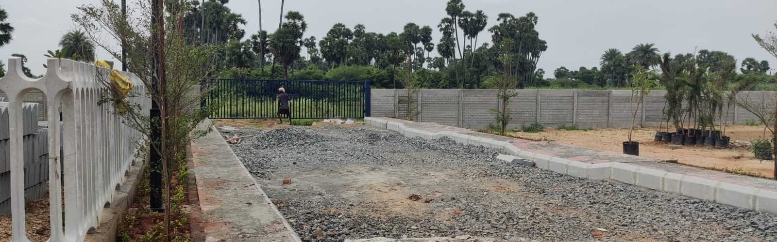 urbantree-crystal-crown-15