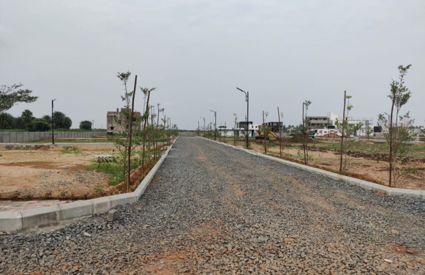 urbantree-crystal-crown-17