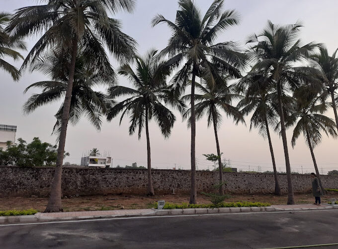 urbantree-sapphire-garden-13