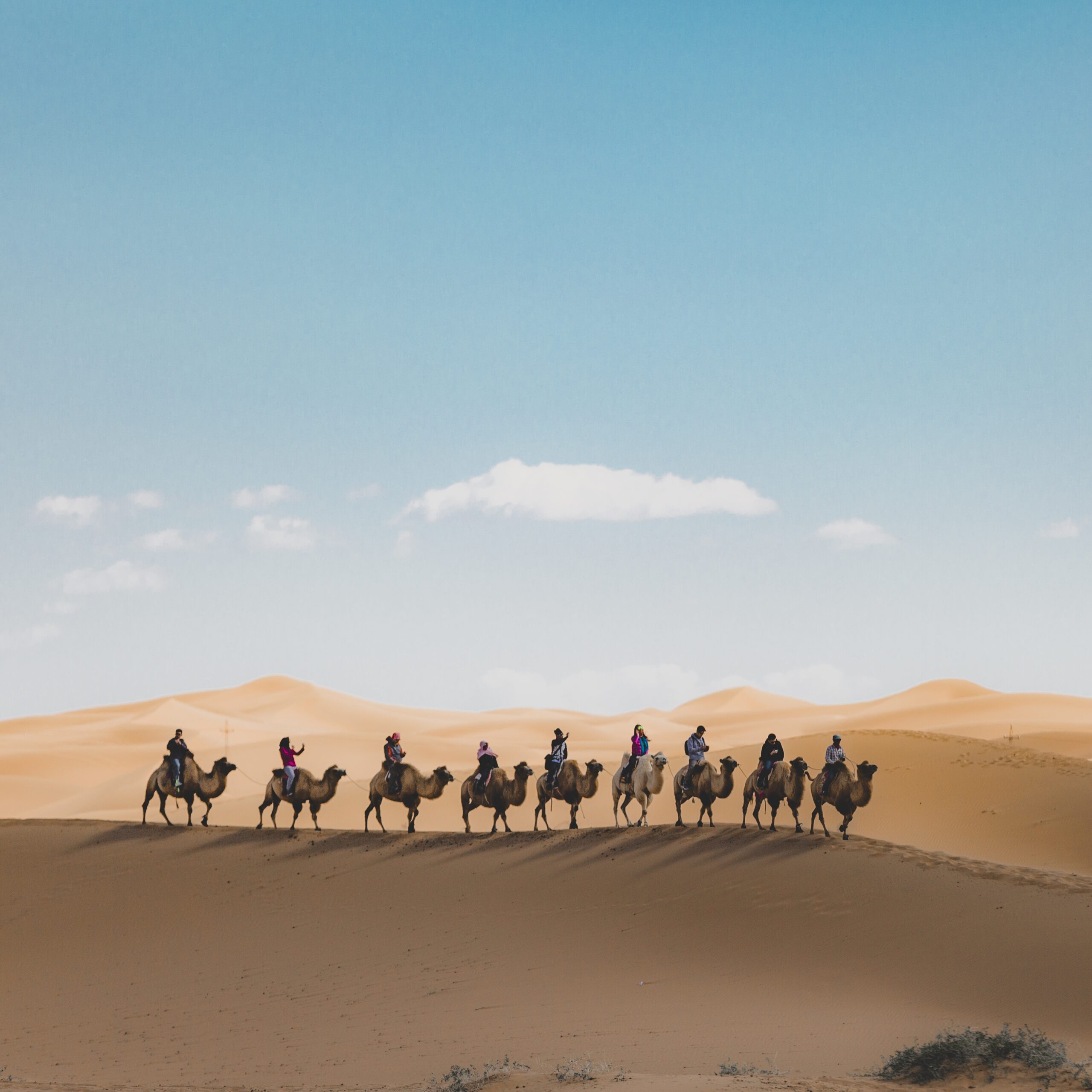 10-best-places-to-visit-in-bahrain