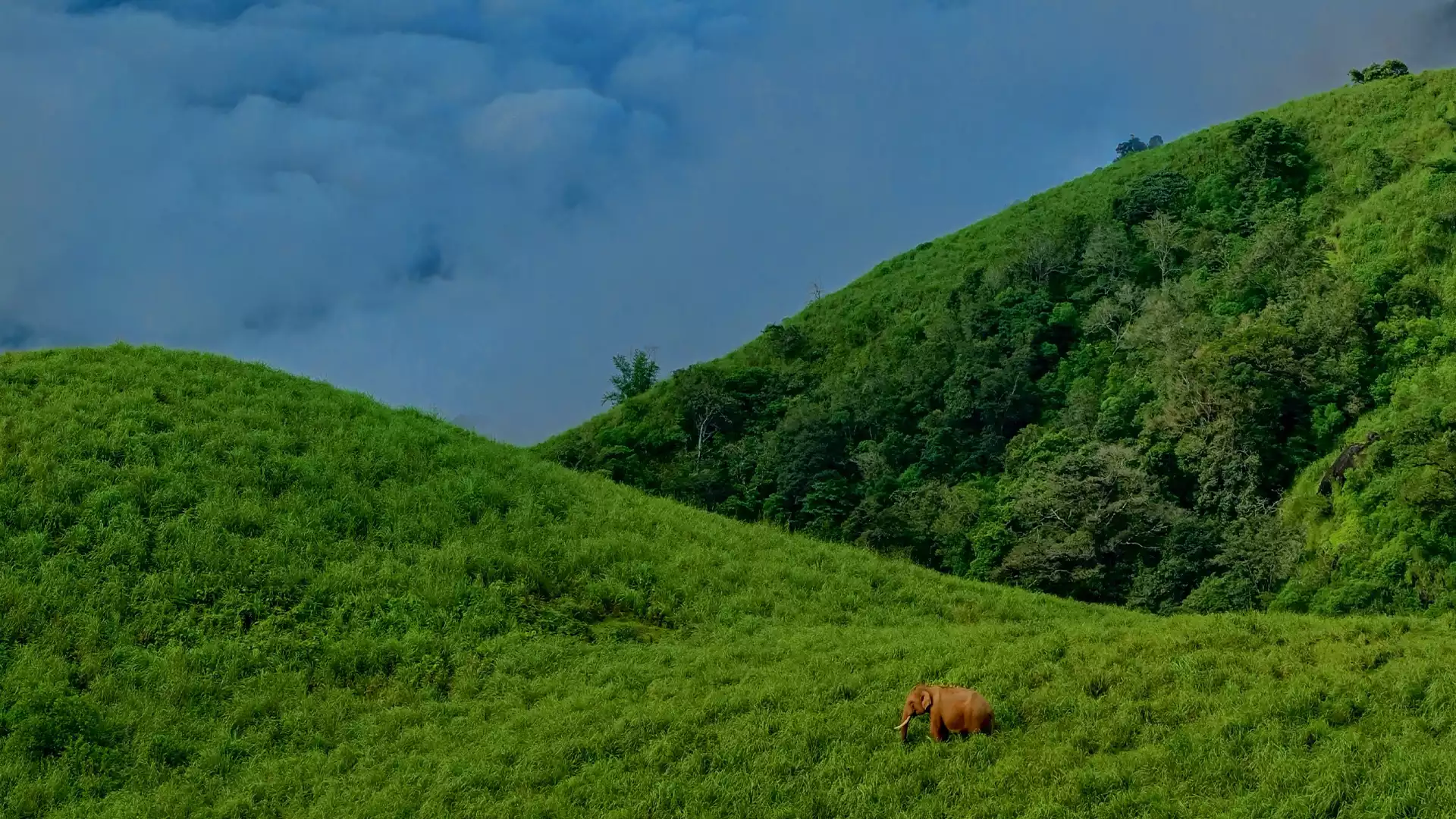 gudalur to ooty tourist places