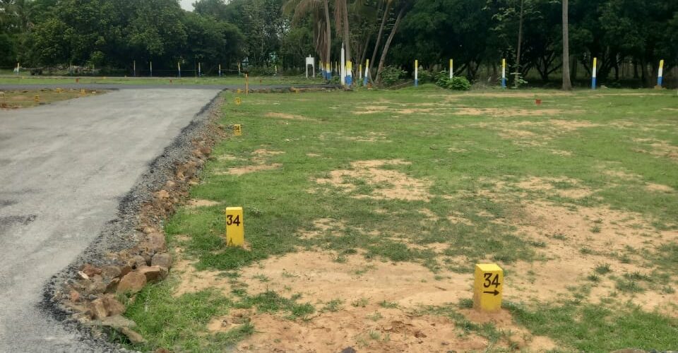 manju-green-spot-thirumazhisai-17