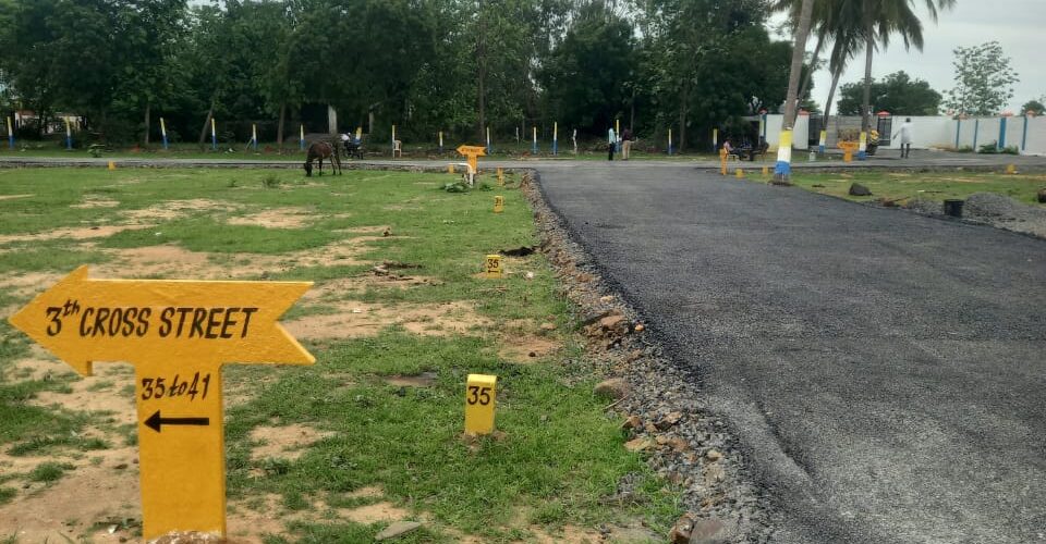 manju-green-spot-thirumazhisai-14