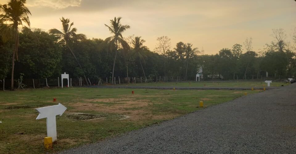 manju-green-spot-thirumazhisai-12