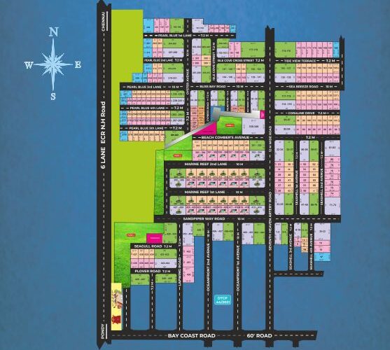 manju-bluespot-ecr-1