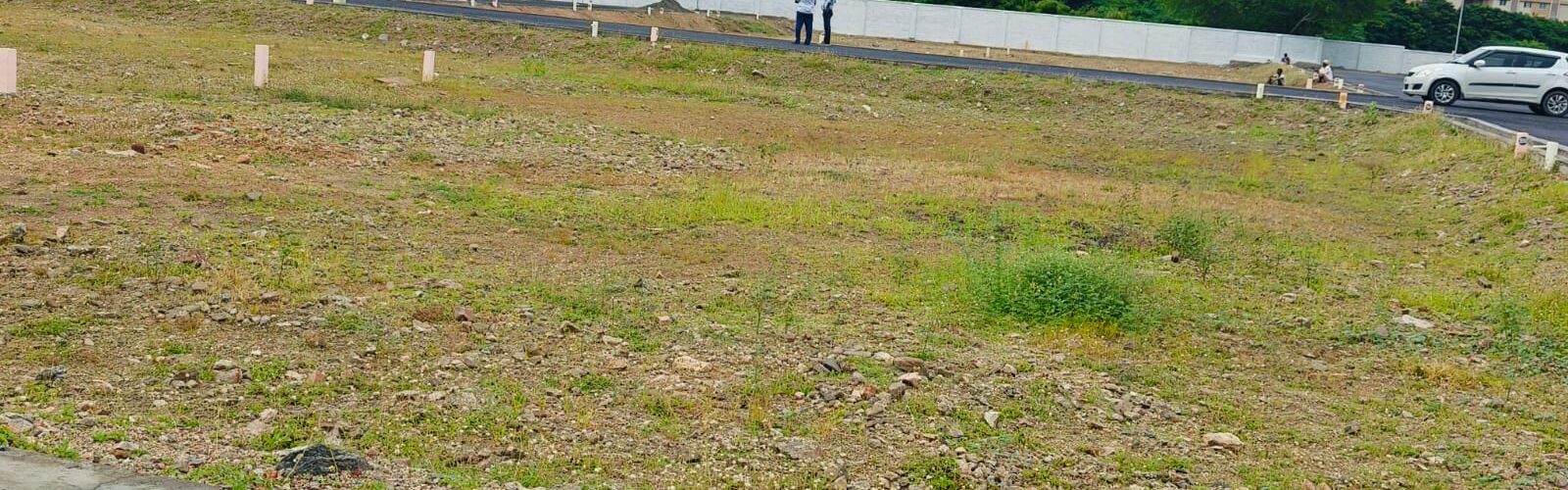 pacifica-palladium-6