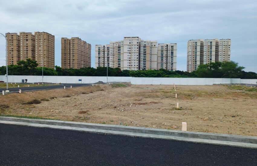 pacifica-palladium-2