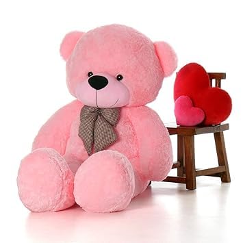 teddy