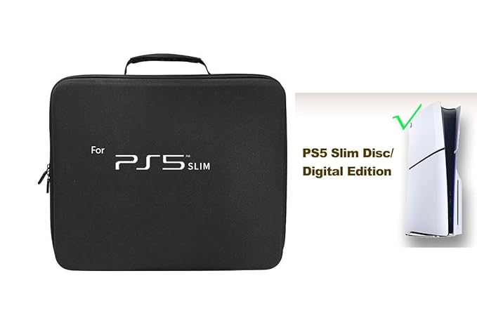 storage bag ps5