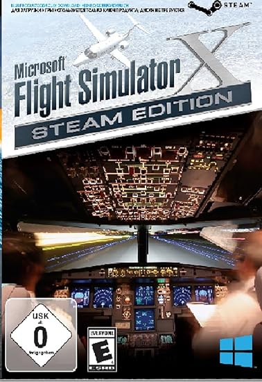 flight simulator
