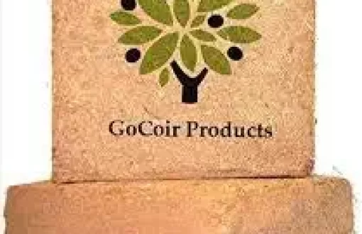 gocoir
