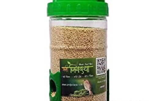 Amijivdaya Medium Bird Feeder
