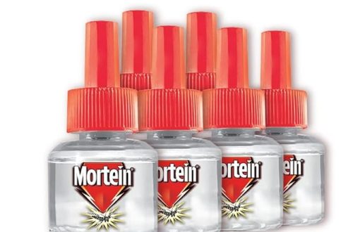 mortein