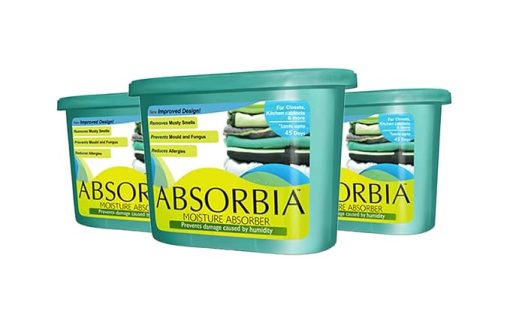 absorbia