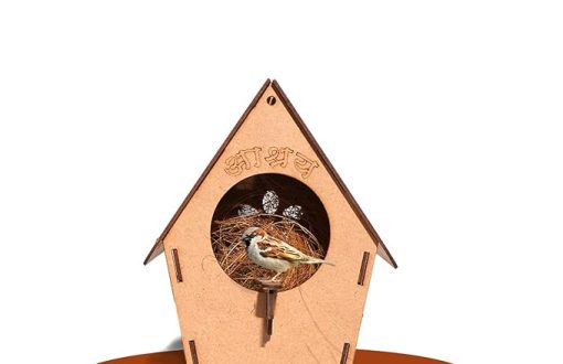 puzzlebox bird house