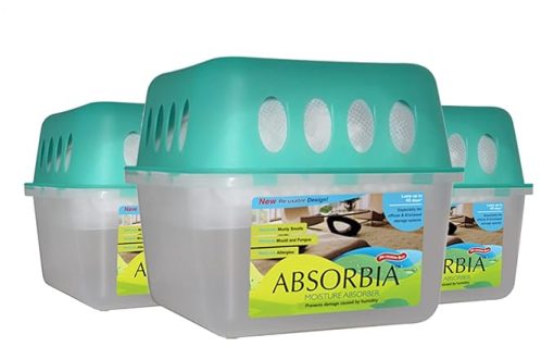 absorbia
