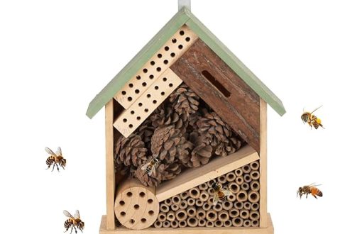 Woonden Multi Habitat