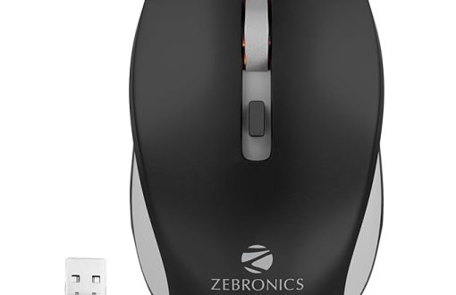 zebronics