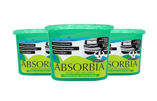 absorbia