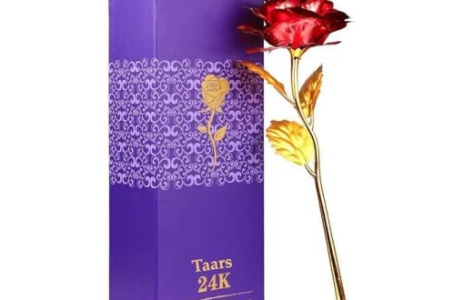 24k gold rose
