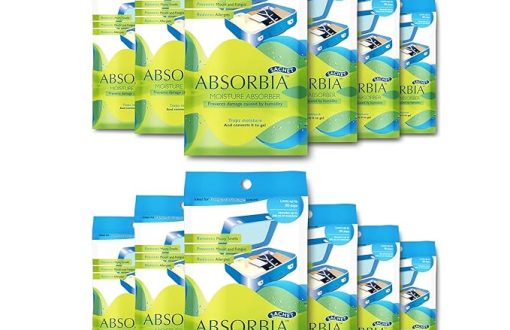 absorbia