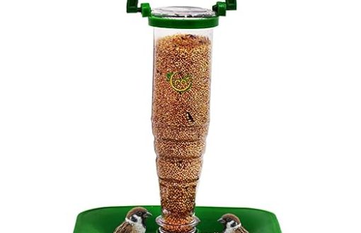 Bird Feeder with Refill Seed Mix Free, Nano Bird Feeder for Food, wild Bird Food feeder for Sparrow, Finches, Budgerigars,Indian Munias (pack of 1 with Free Refill Seed mix)