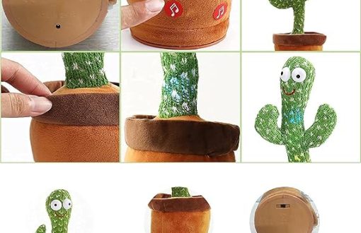 dancing cactus