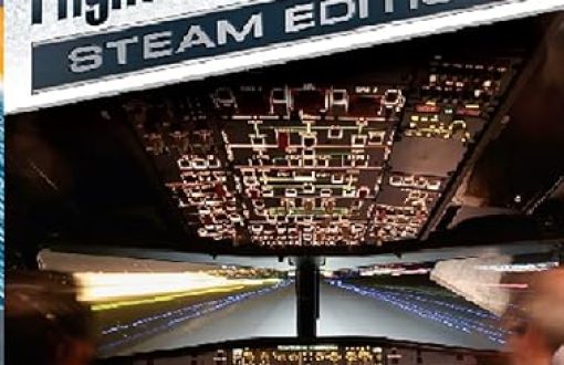 flight simulator