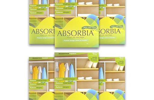 absorbia