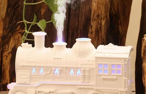 Inditradition Train Engine-