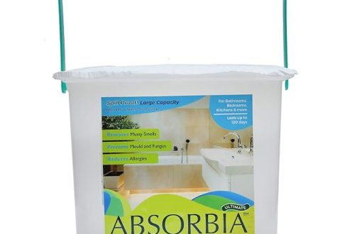 Absorbia