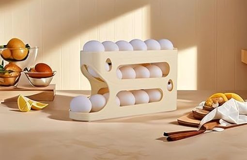 egg holder