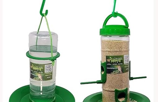 Amijivdaya Medium Bird and Water Feeder Combo (Green, Transparent)