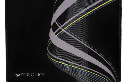 zebronics