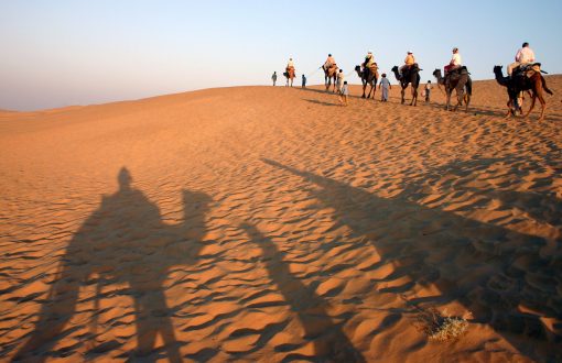 thar desert