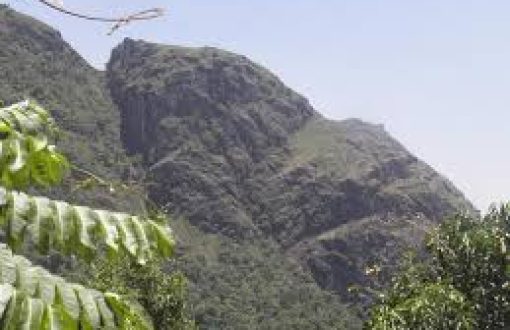 frog-hill-viewpoint-gudalur