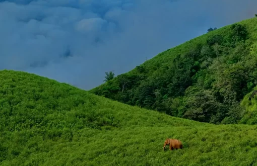 10-best-places-to-visit-in-gudalur