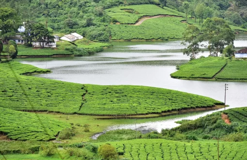 10-places-to-visit-in-meghamalai