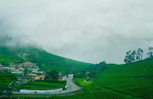 ooty