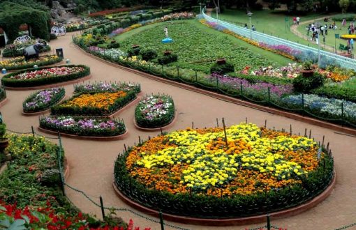 sims-park-coonoor