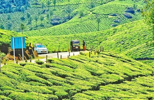 10-best-places-to-visit-in-theni