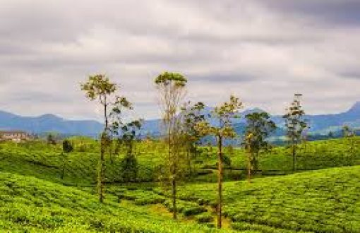 valparai-image